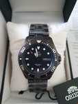 Orient Ray Raven similar seiko
