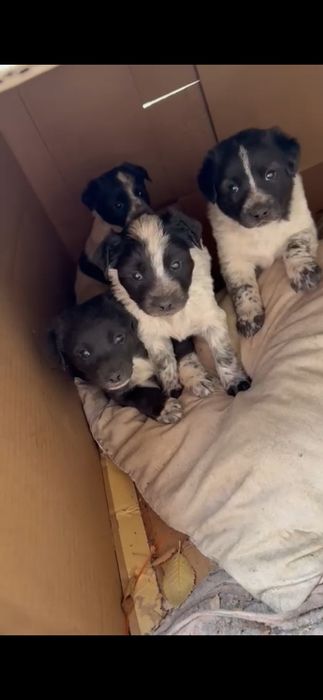 Малыши в смертельной опасности!!!