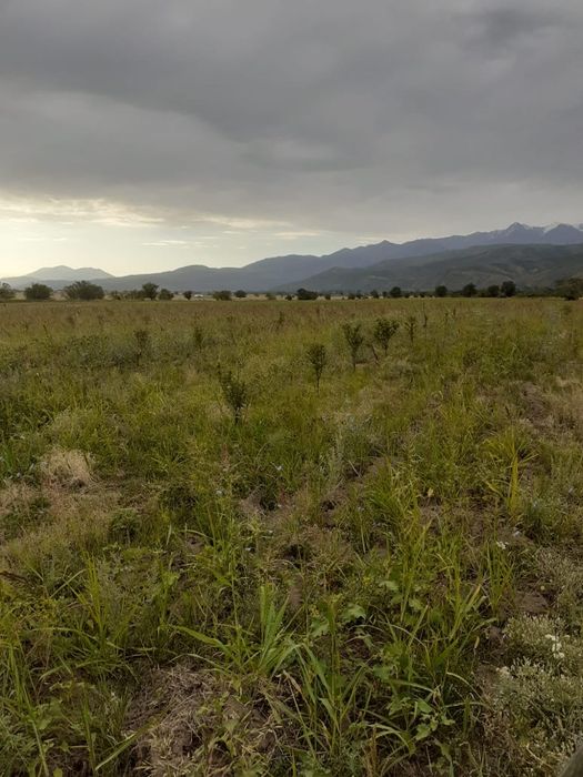 Продам землю