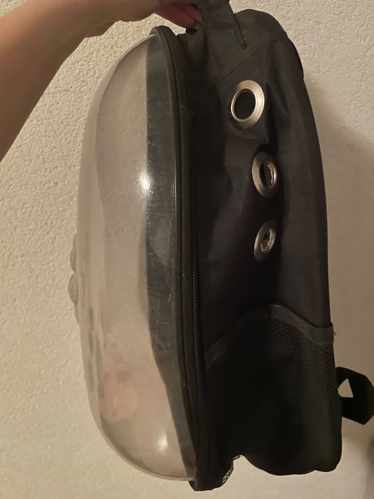 Раничка за домашен любимец