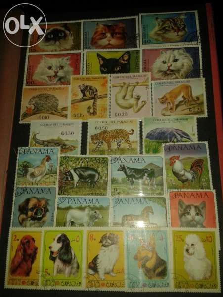 Пощенски марки - "флора и фауна"