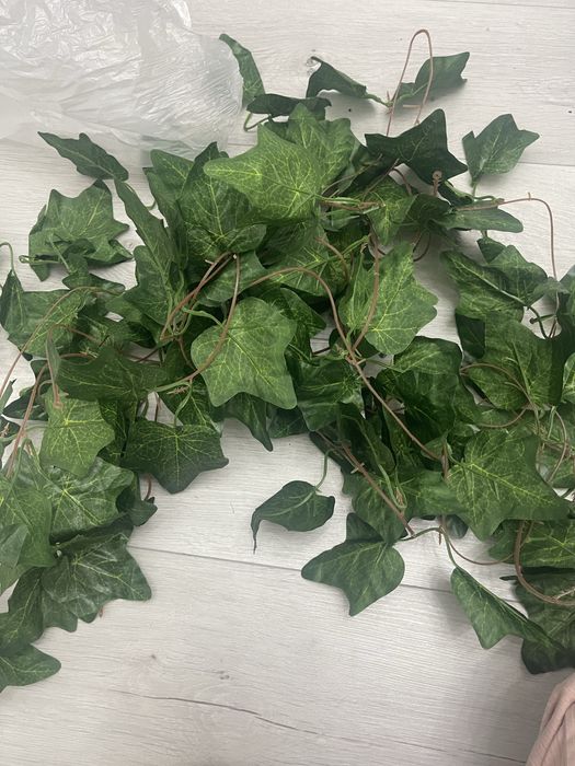 Декоративные листья лианы