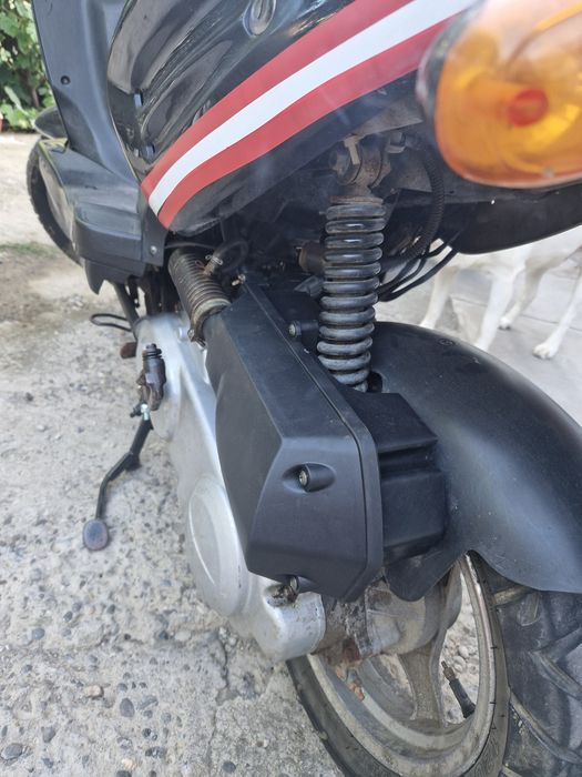 Scuter gilbeera 2