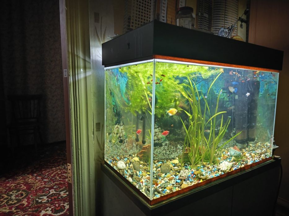 Аквариум с рыбками и оборудованием