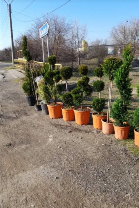 Vînd piatră naturală