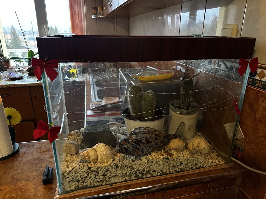 Acvariu Pesti 60x30x46