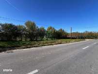 Teren intravilan/Str Balciului/Copacelu