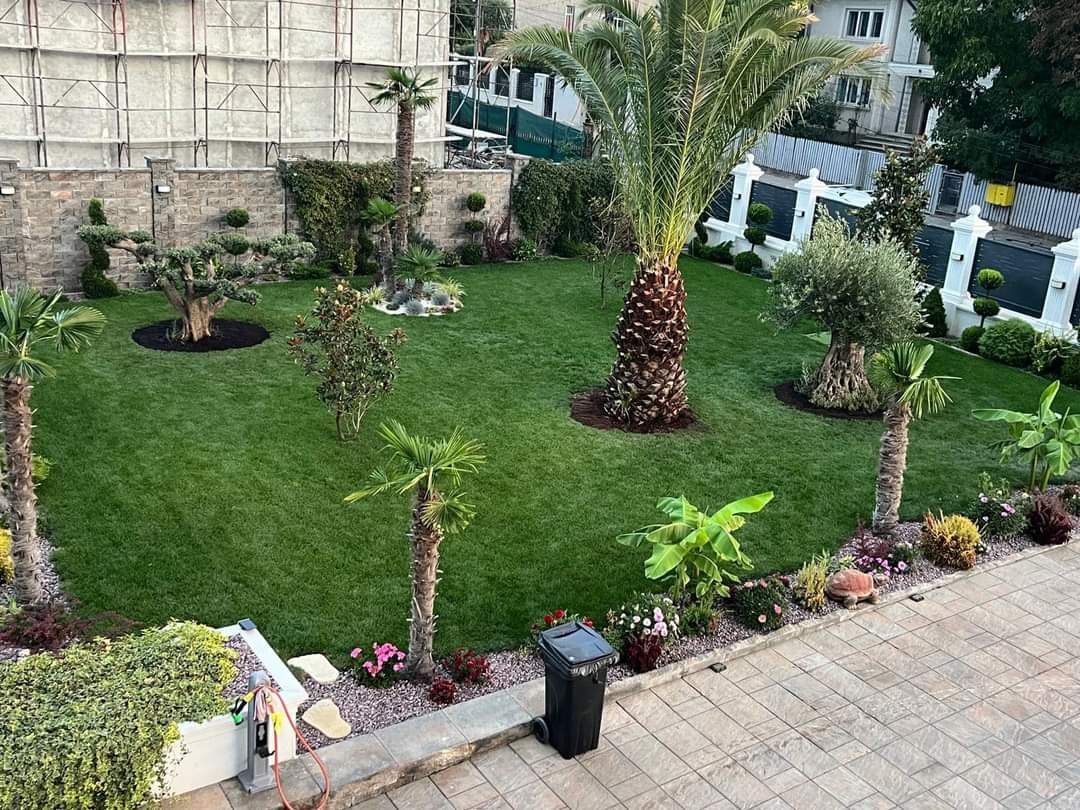 Vînd plante ornamentale și piatră naturală