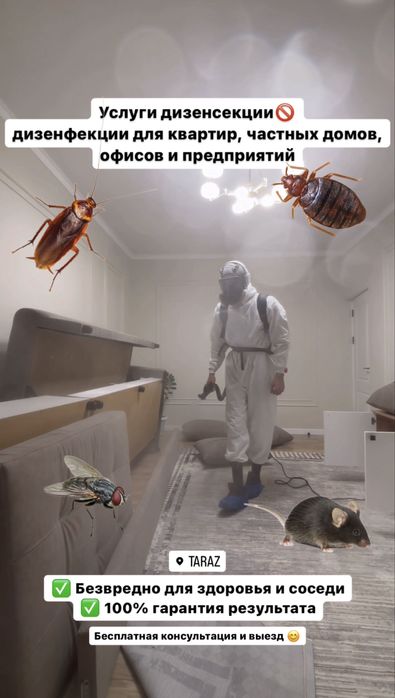 Дизенфекция Тараз от клопов и тараканов