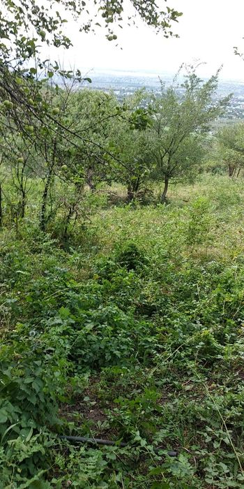 Продам срочно участок в экологически чистом районе