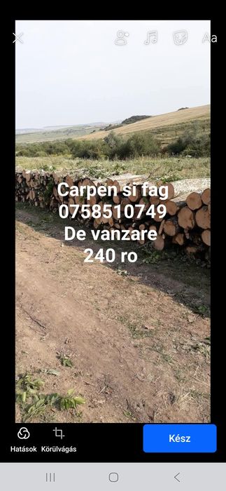 Lemne de foc uscat