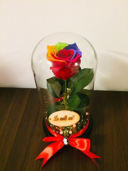Cupola cu trandafir multicolor rainbow 180 lei
