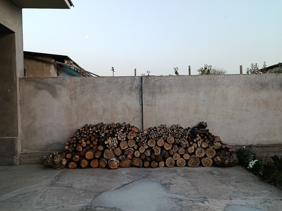 Утин сотилади мева дарахтники