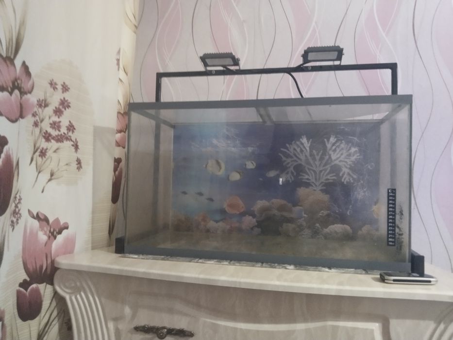 Срочно продам аквариум.