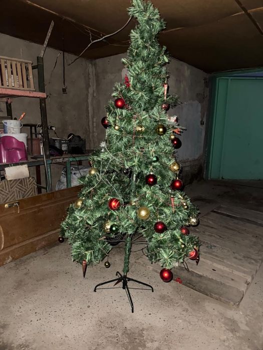 Ёлка оншыктарымен бирге 3м