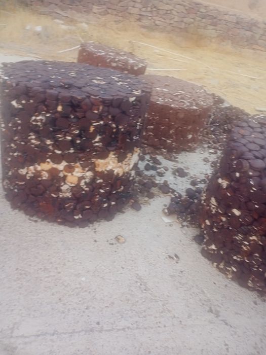 Qoldiq shkalat pichenilar mollarga