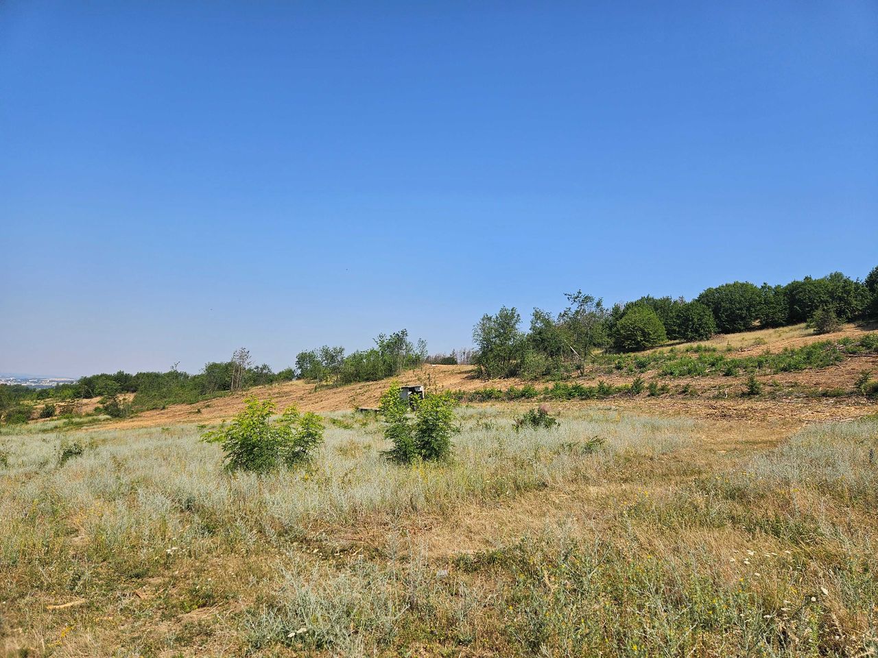 Продава се Парцел в с. Шереметя, Област Велико Търново - 13500 кв.м за 75 €/кв.м - Снимка #3