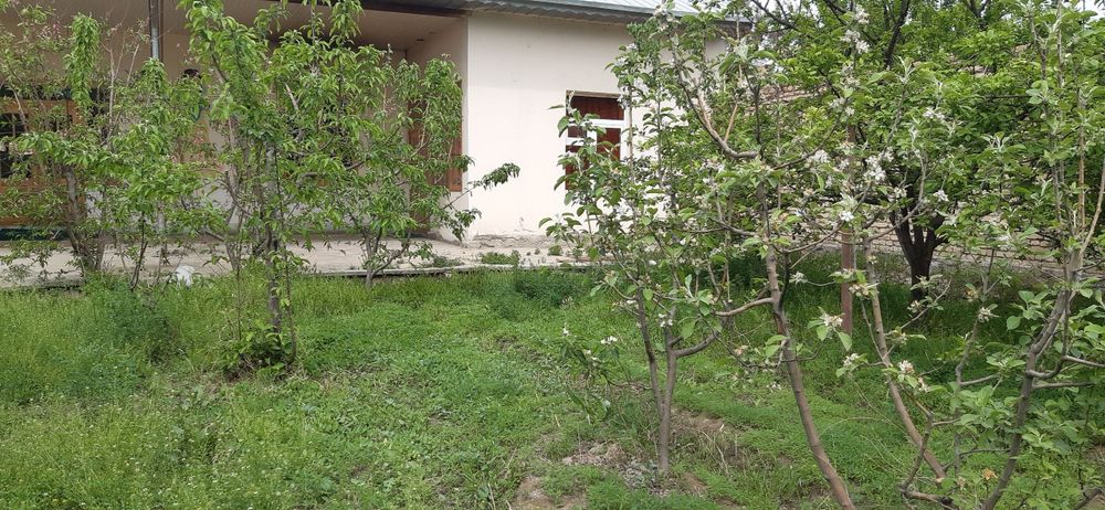 Продаётся участок с готовым бизнесом