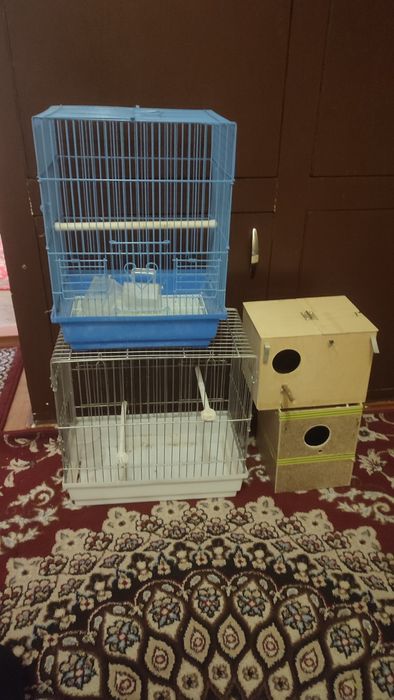2 ta qafas 2 ta dublenka sotaman