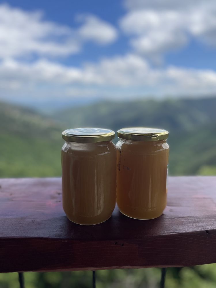 Домашно производство на мед