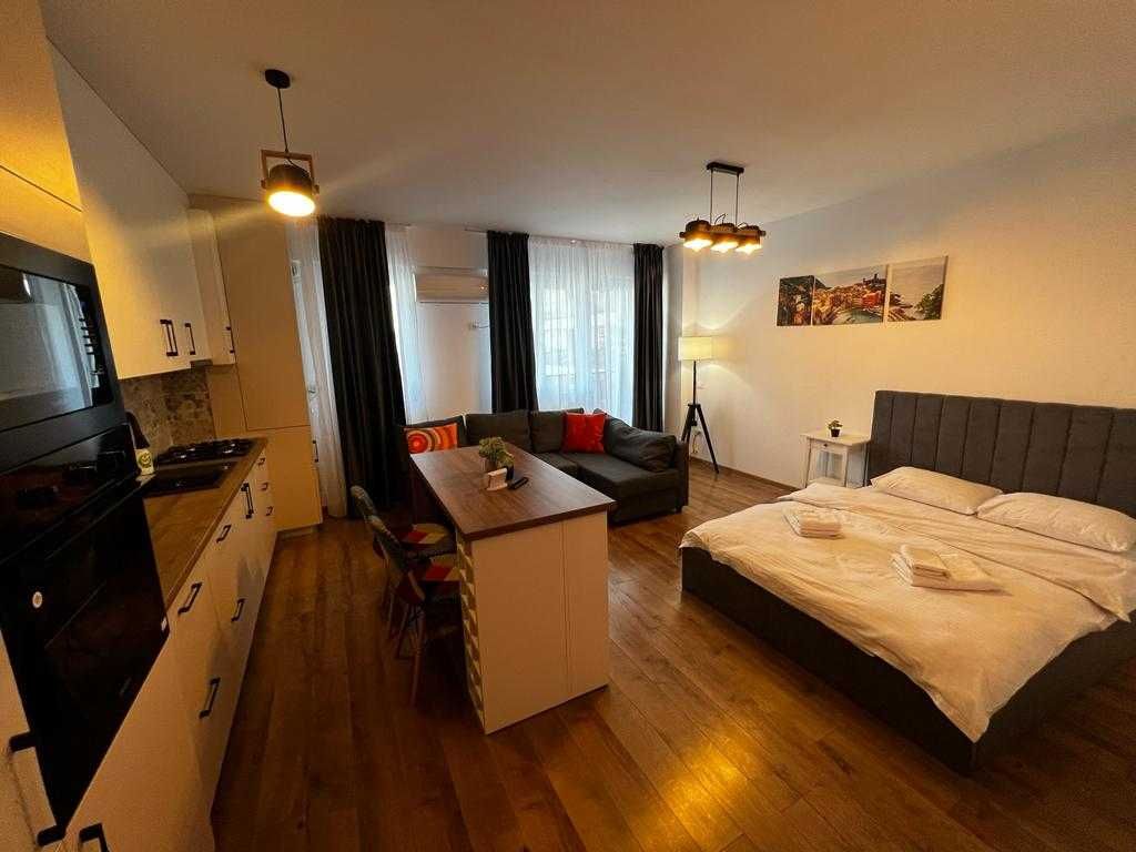 Oferta Cazare Iasi - Apartamente 1/2/3 Camere - Regim Hotelier