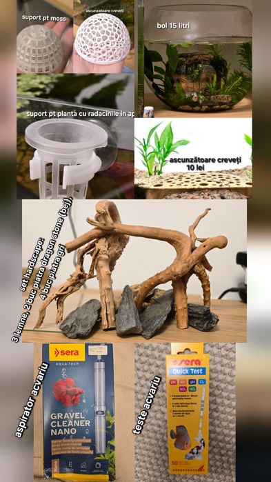 Plante acvariu, decorațiuni acvariu, creveti neocaridina blue