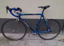 Giant cadex cfr 4