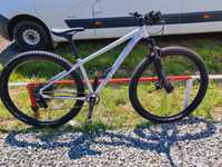 Specialized roti 29