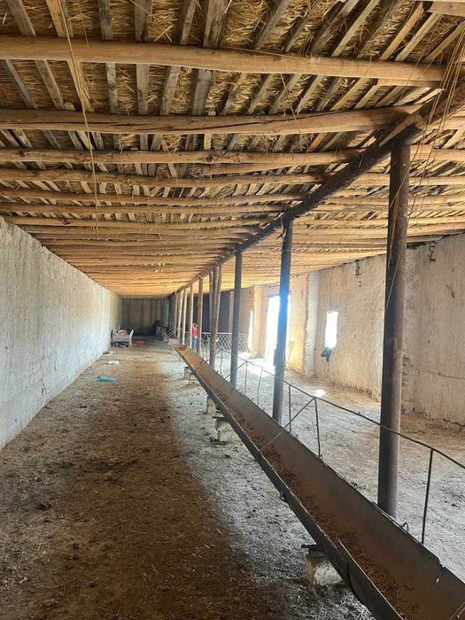 СРОЧНО Чорва комплекси. Молхона, экин, яйлов майдонлари билан сотилади