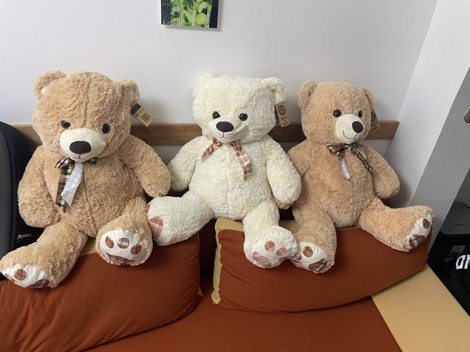 Ursuleti plus franta