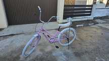 Bicicleta de dama