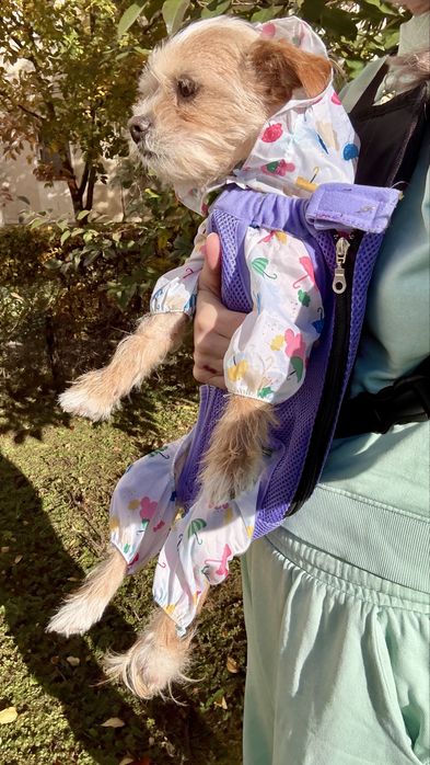 Marsupiu / ham adorabil pentru catei - confort, siguranta- L-XL