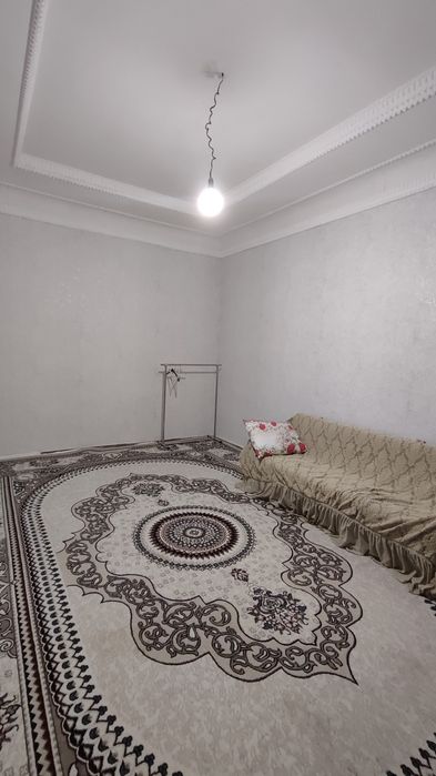 Student qizla qoyamz