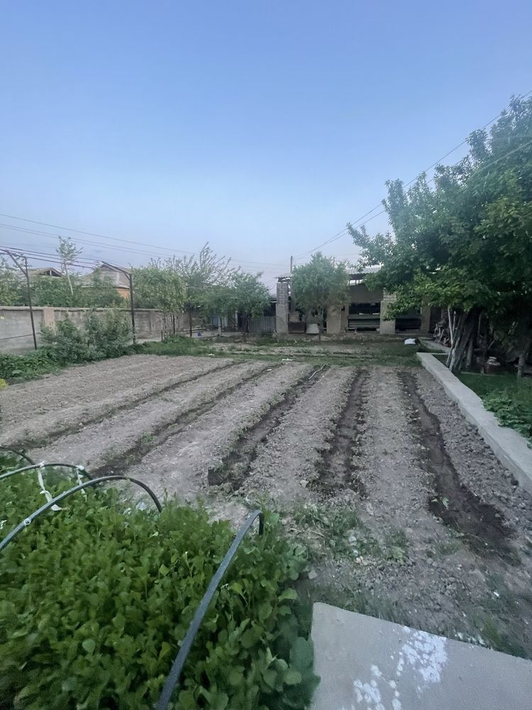 Nurafshon shahar, Birlik mahallada  8 sotix 7 xonali uchaska sotiladi