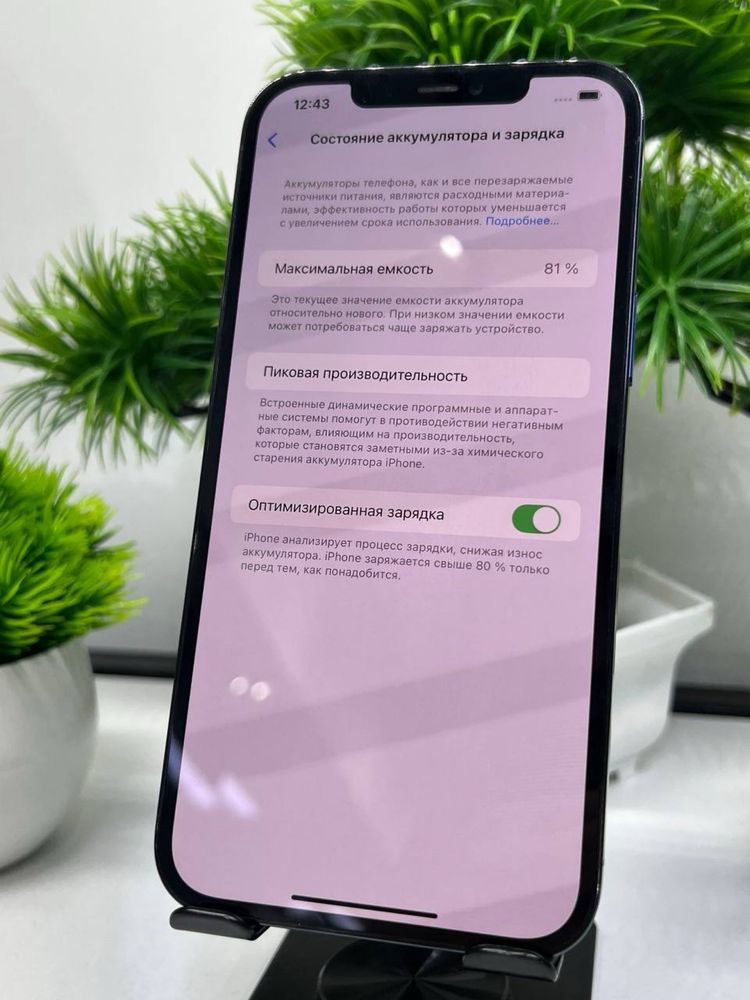 Iphone 12 Pro Max 128 Gb