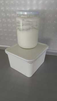 Кисело мляко и сирене - домашно производство
