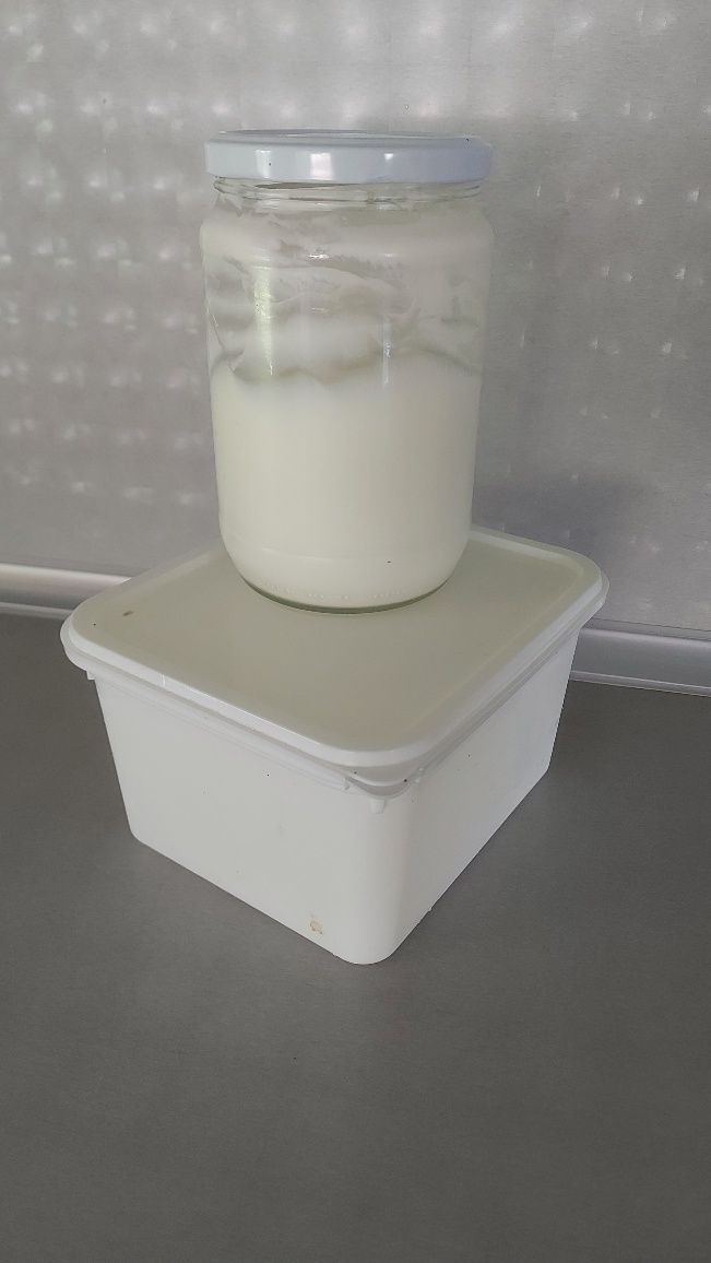 Кисело/прясно мляко и сирене - домашно производство