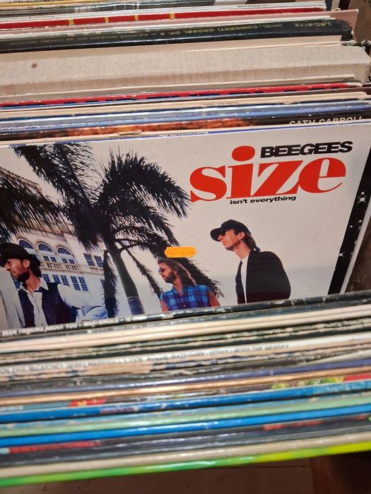 Muzica vinil,vinyl,pop,rock