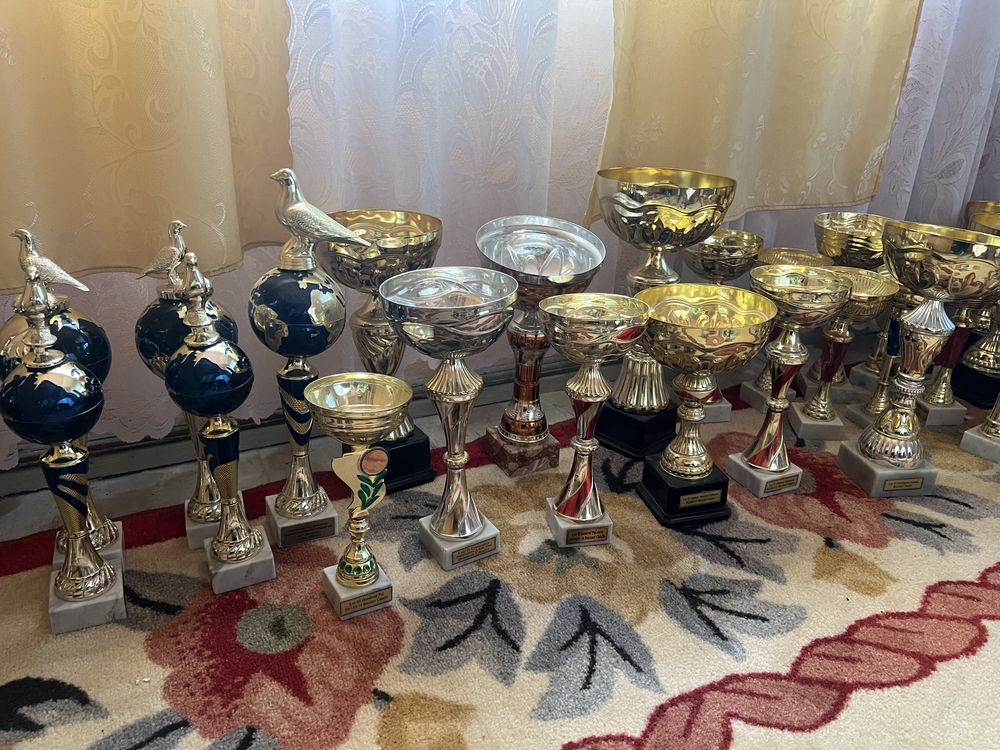 Cupe si Trofee câștigate la competitii columbofile