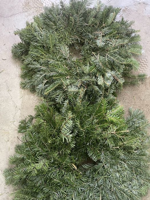 Coronita brad natural