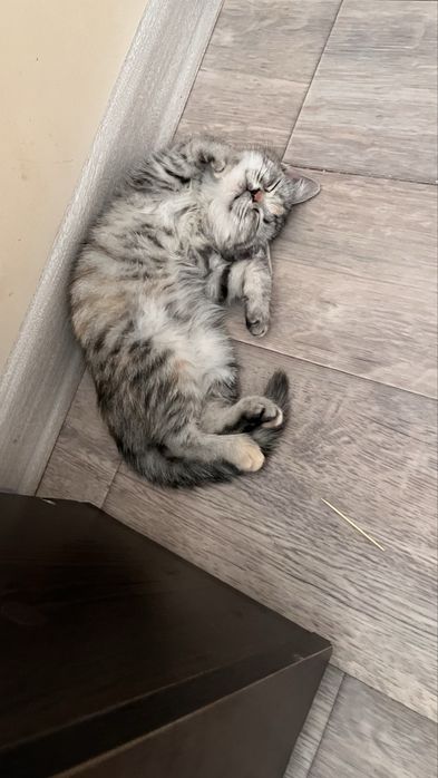 Продам в добрые руки