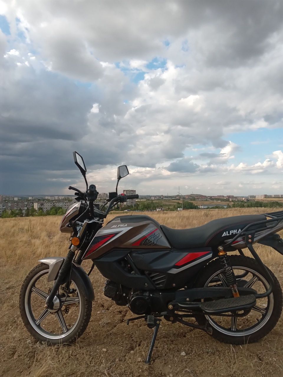 alpha rs12 champ