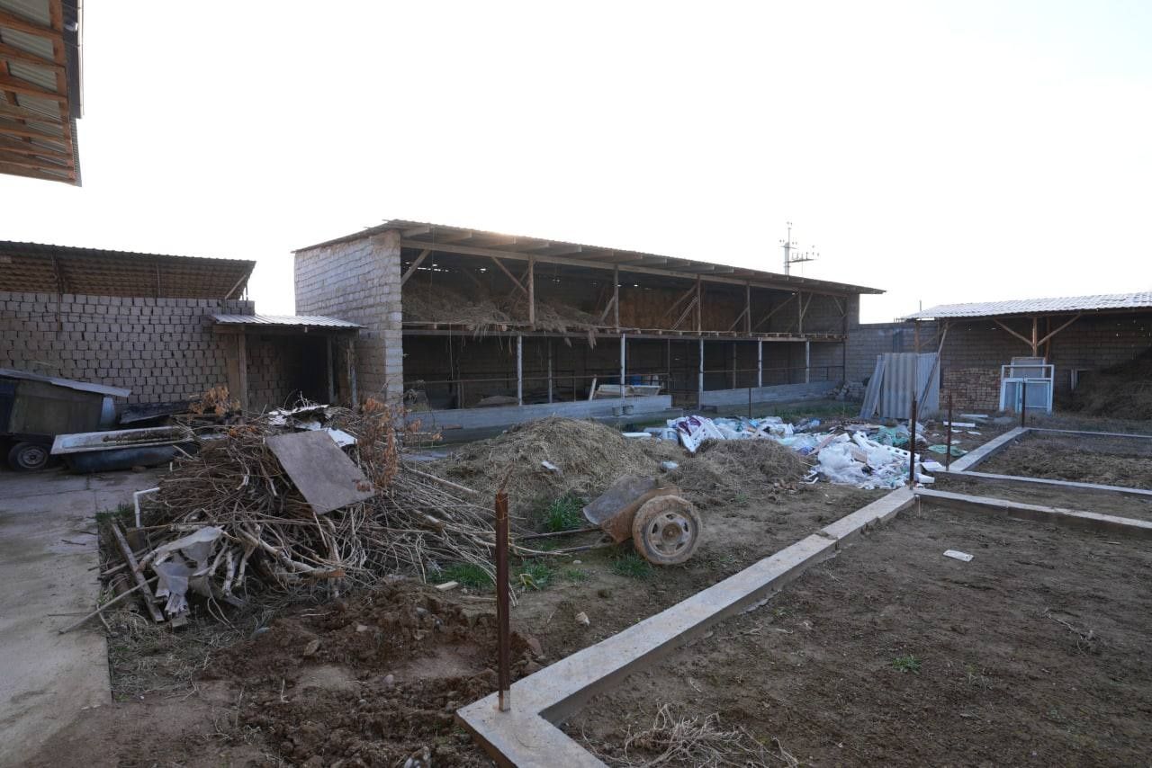 Tayyor ferma sotiladi