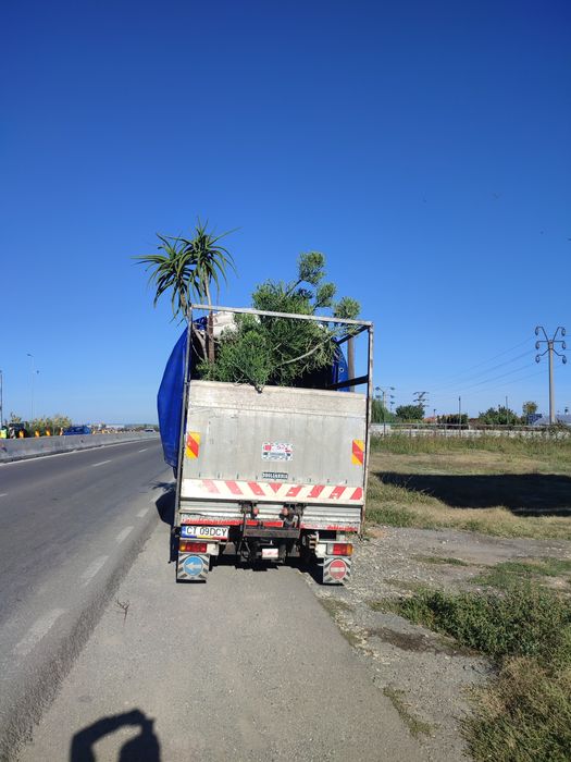 Debarasare mobila veche electrocasnice transport si manipulare marfa