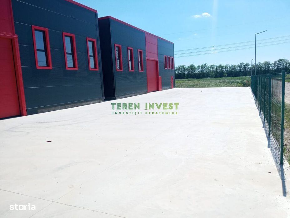 Vanzare Hala Industriala - Frumusani