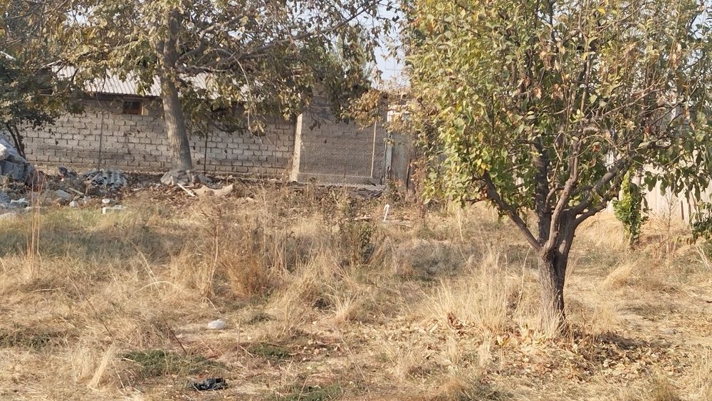 Yer sotiladi 5 sotix