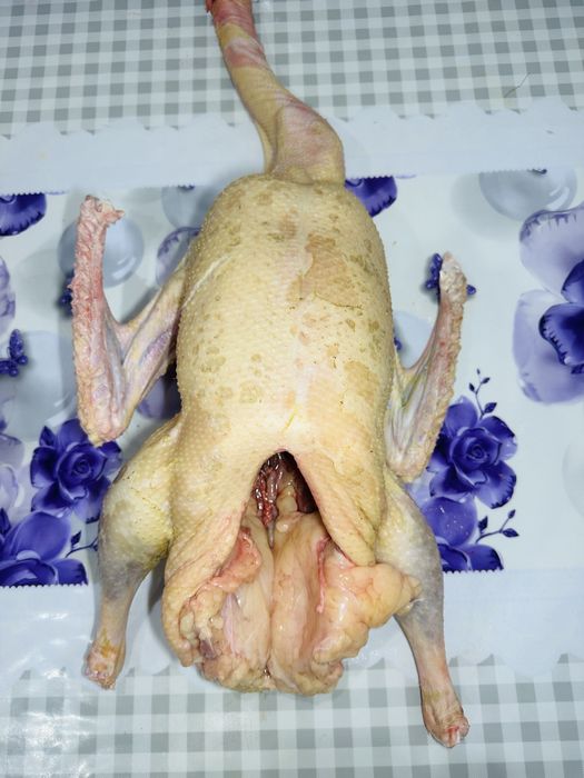 Продам домашних гусей