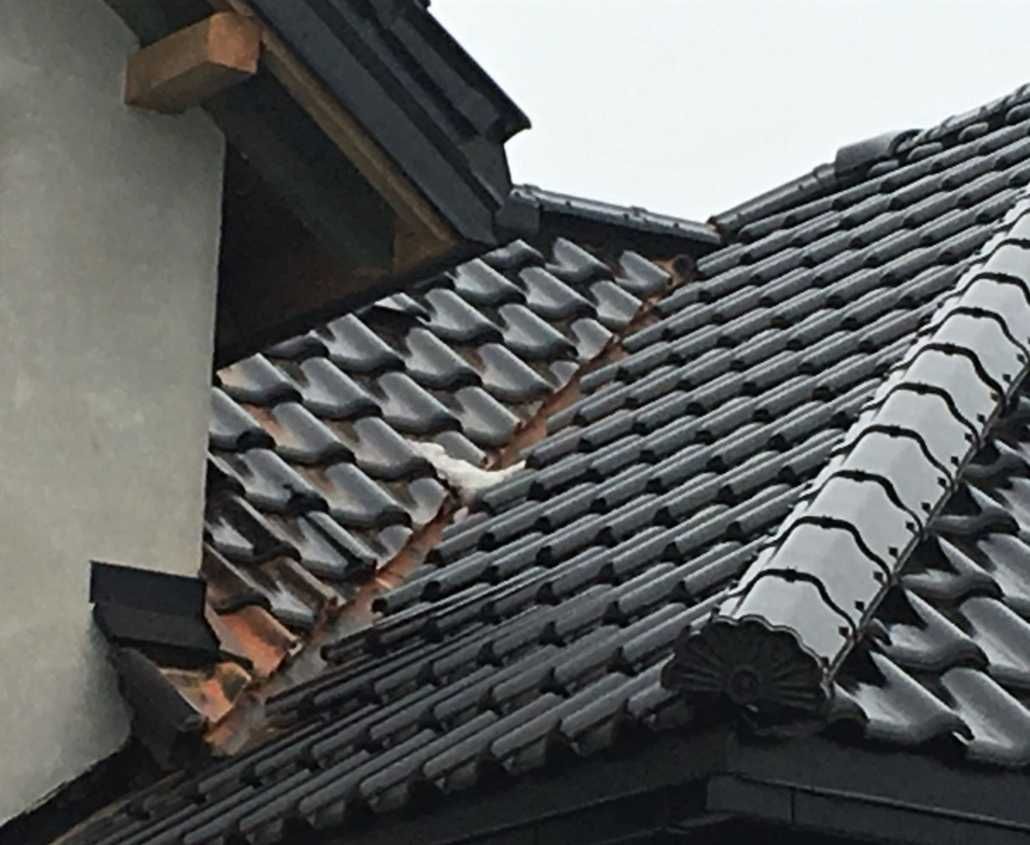 Firma de constructii si reparatii acoperisuri, sisteme pluviale