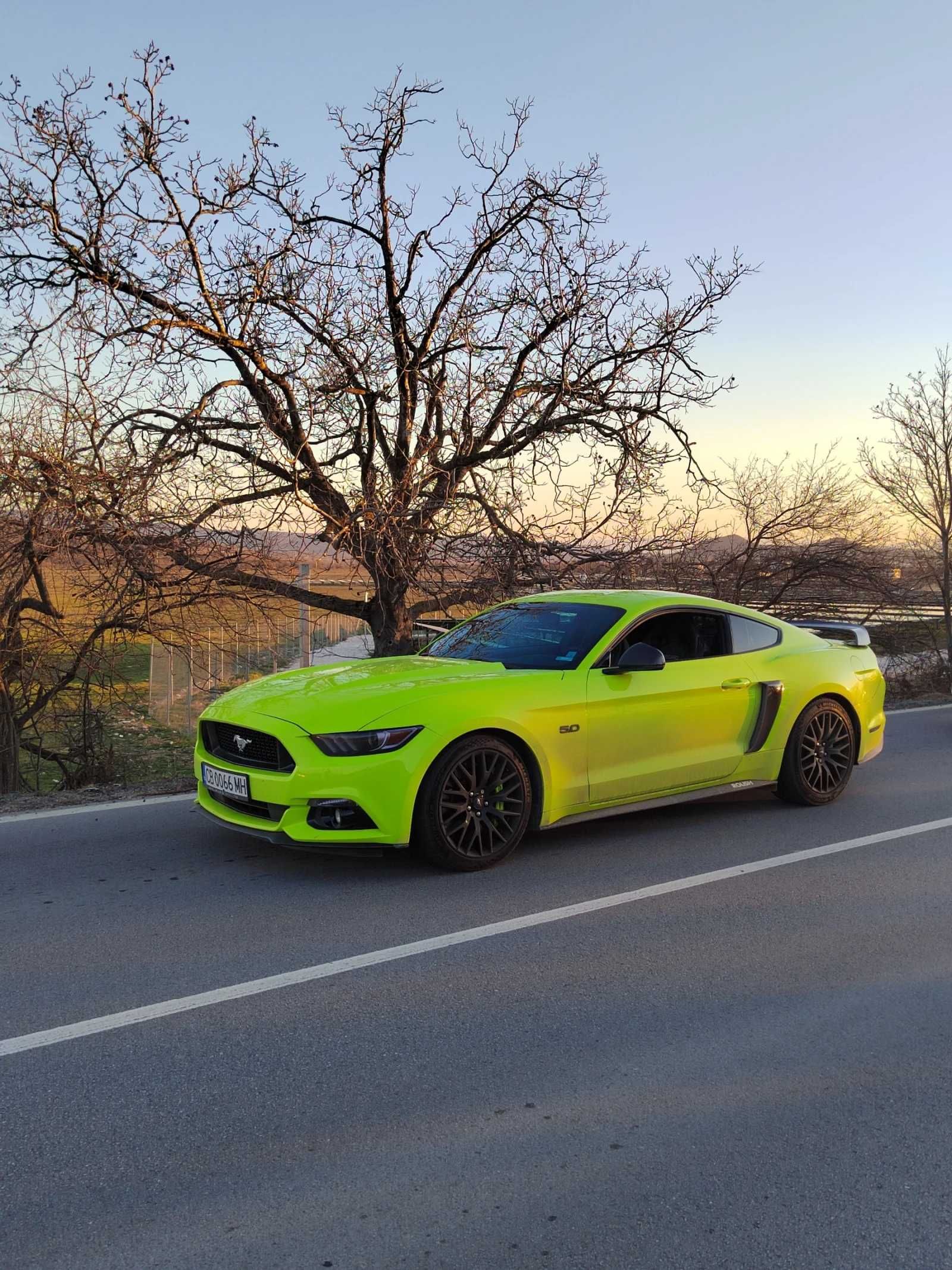 Ford Mustang 5.0 EU Performance Pack / Recaro, PPF, Roush