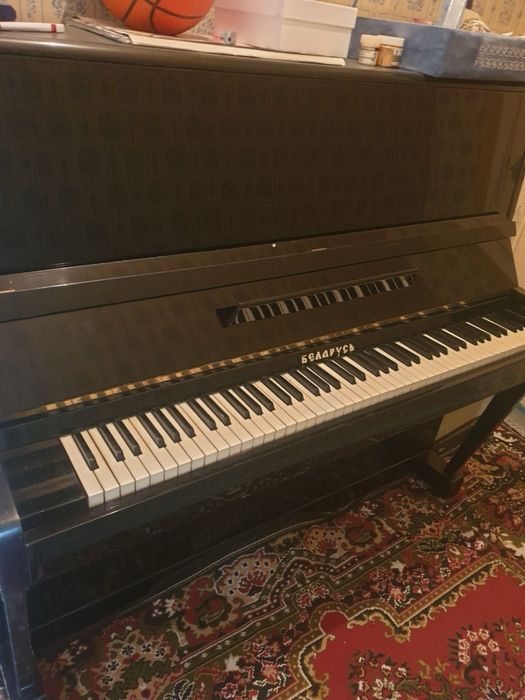 Пионина беларусс